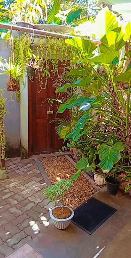 Shady Edge Hotel Unawatuna Bagian luar foto