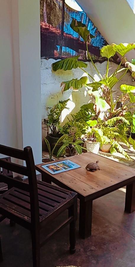 Shady Edge Hotel Unawatuna Bagian luar foto